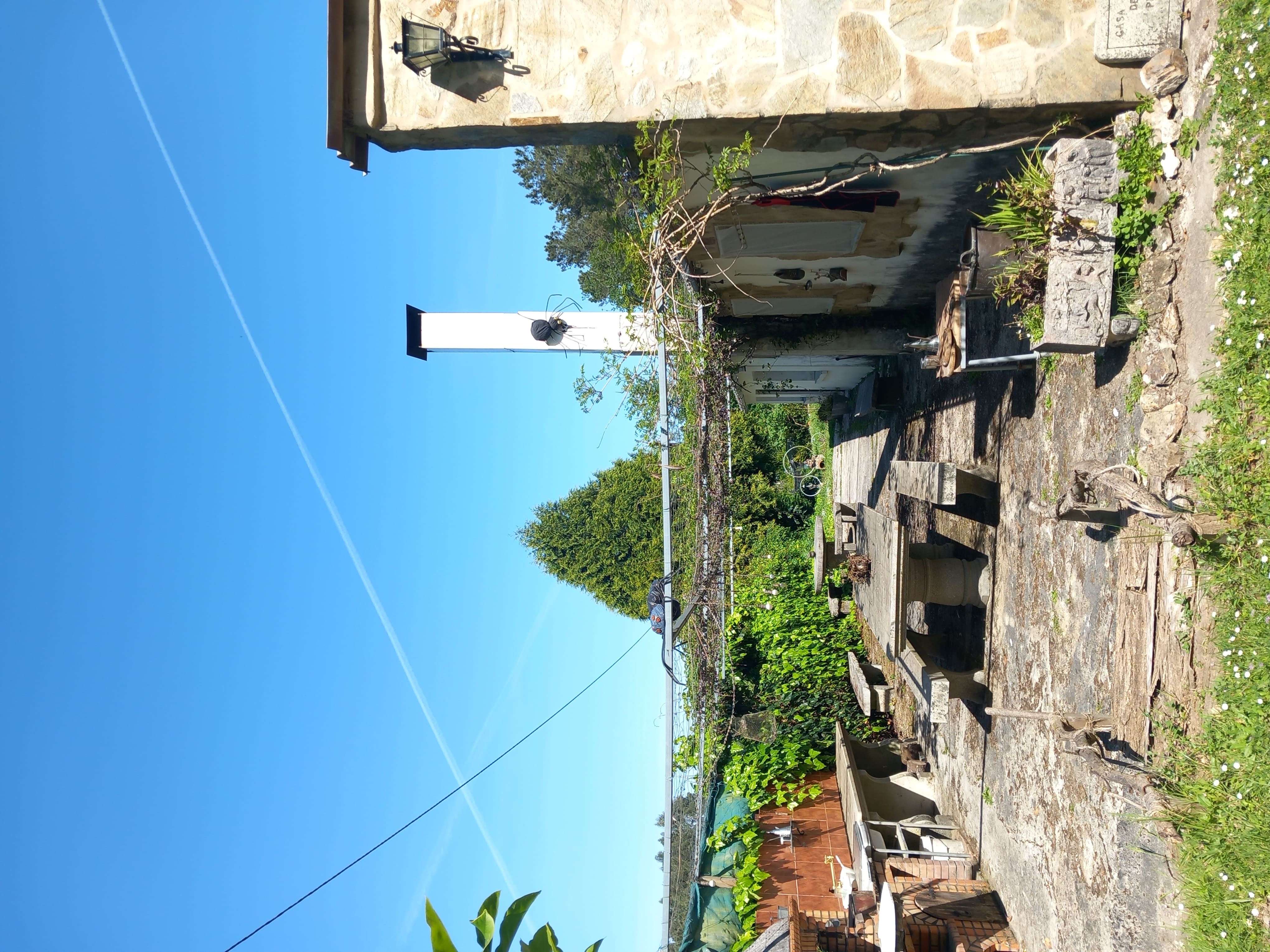 Zona exterior Finca Anduriñas